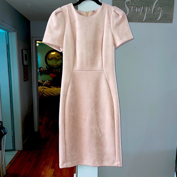 calvin klein pink suede dress Calvin Klein Scuba Suede Sleeveless Sheath Dress, Womens, 4, Blush